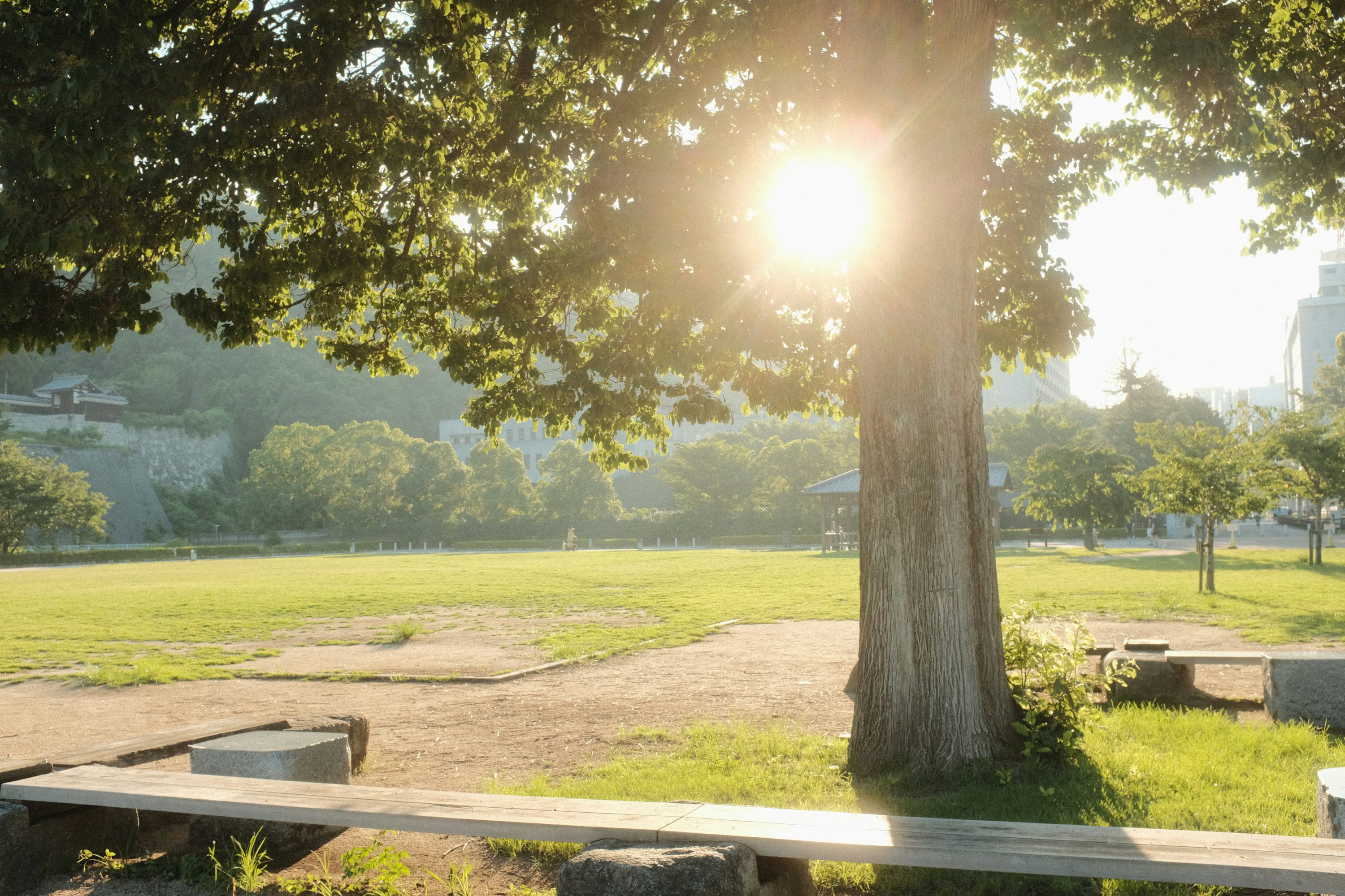 Espectroluz - imagen 2